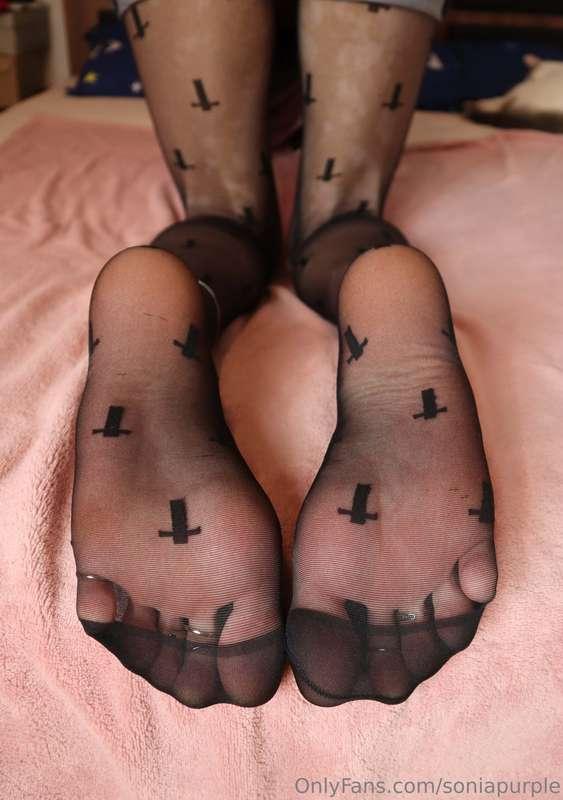 If you like my feet and legs in nylons.. I have a few other ..