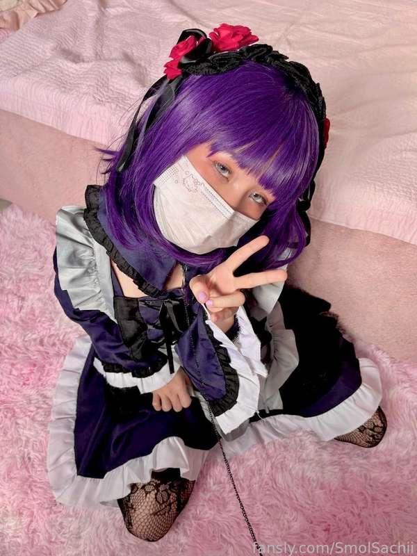 smolsachii image #1