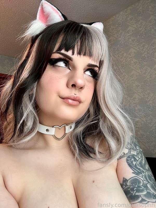 quesophh image #1