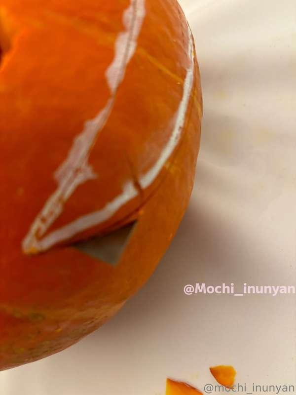 mochi_inunyan image #0