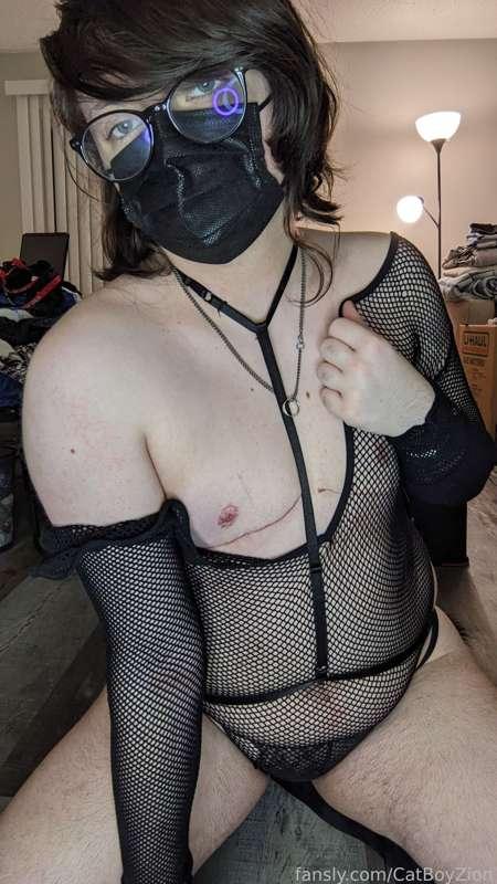 catboyzion image #9