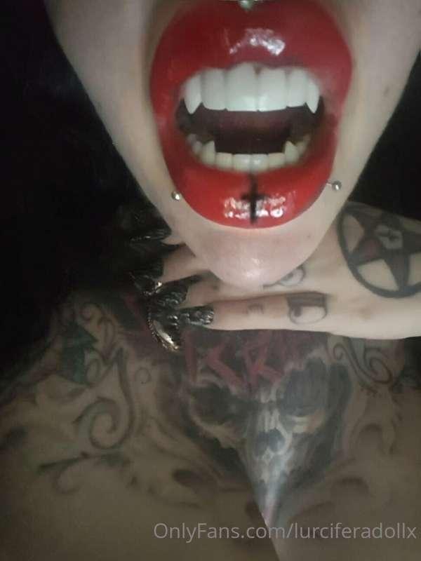 🦇🦇🦇