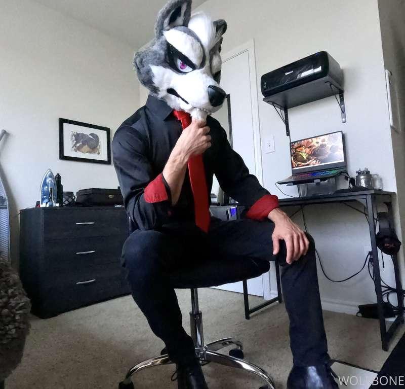 Boss Wolf will be doing your employee review. What would you..