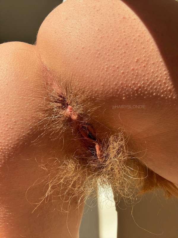 hairyblondie image #2