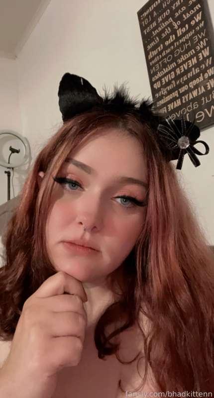 bhadkittenn image #1