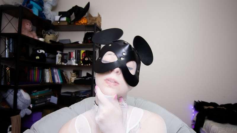 l1ly_paw image #5
