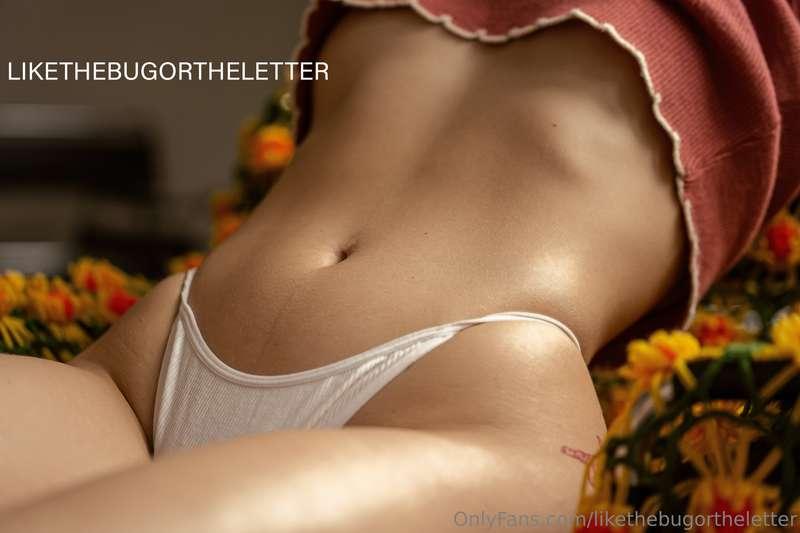 likethebugortheletter image #1
