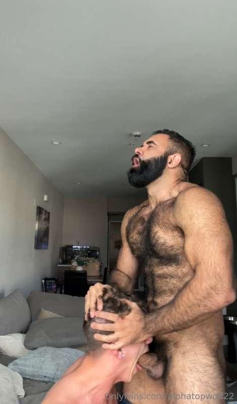 alphatopwolf22 image #6