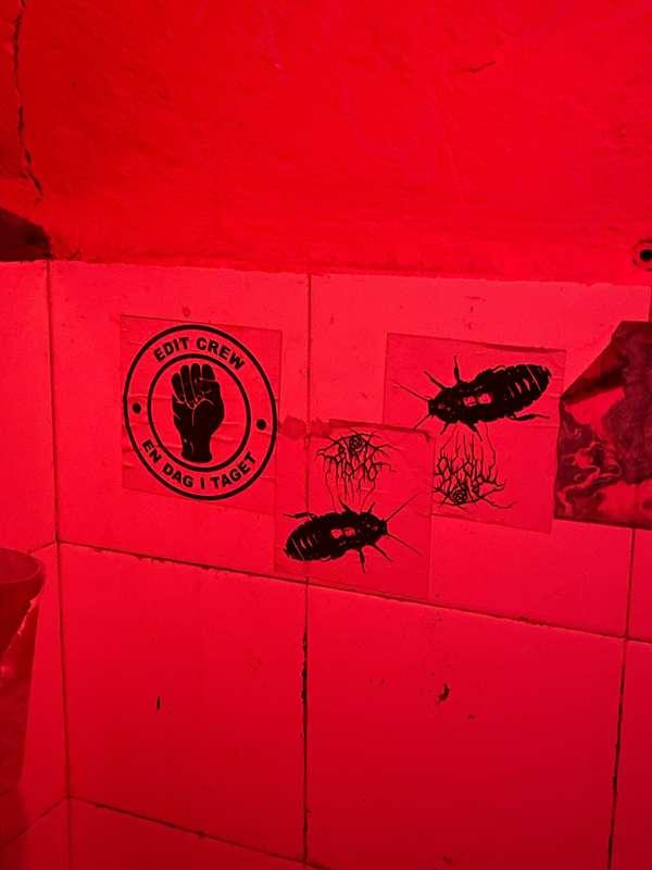 floral_karry image #5