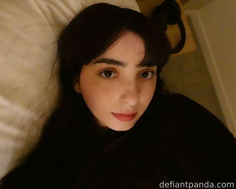 defiantpanda image #2