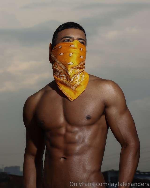jayfalexanders image #1