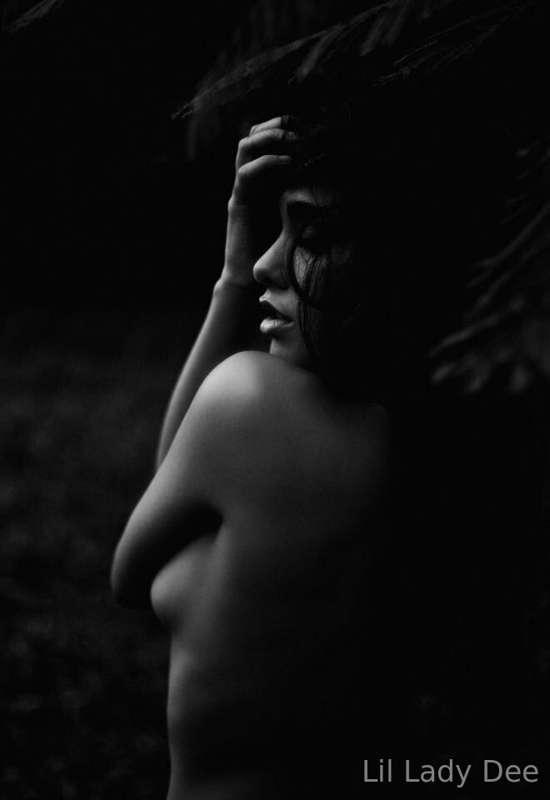 lilladydee image #11