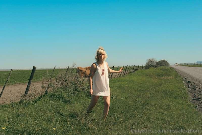 pit stop to talk to cows before finding a bush under which t..
