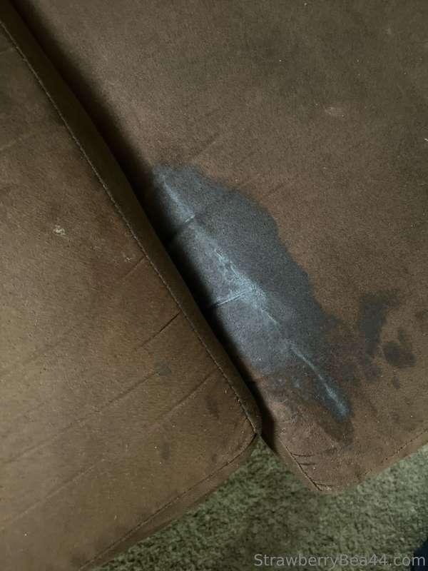 harmonistrawberry image #0