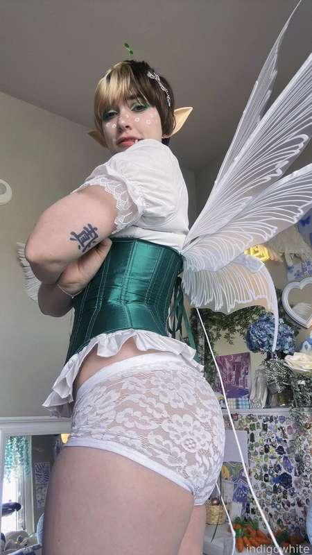 indigowhite image #461