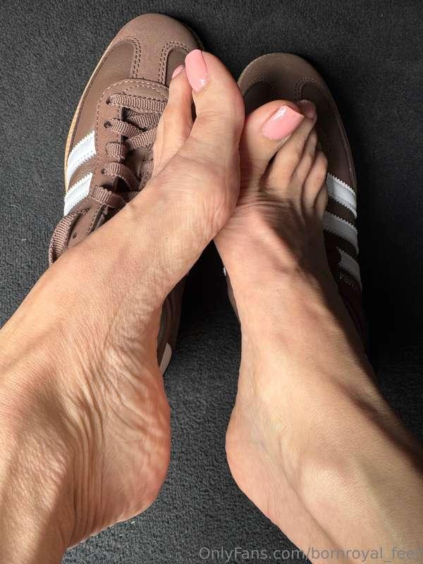 Stinky feet at their best. Now you can lick them. 