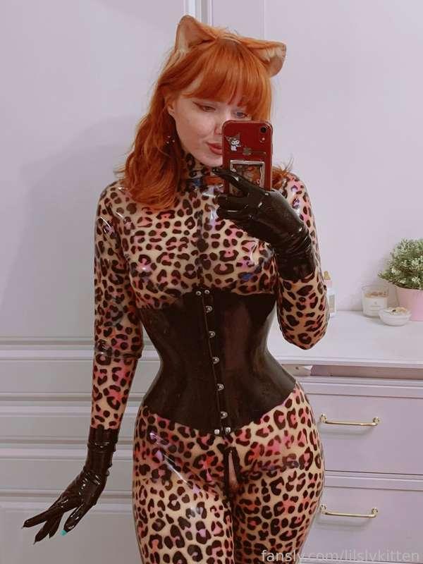 lilslvkitten image #1