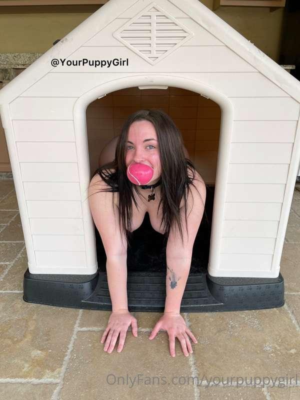 Like my new dog house?? 🏠