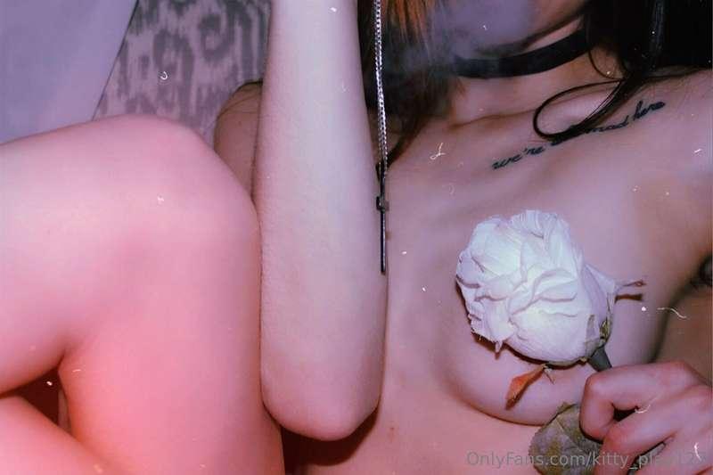 kitty_play123 image #5