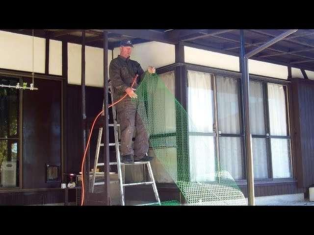 Unskilled Catio Builder at the Old Japanese Farm House!