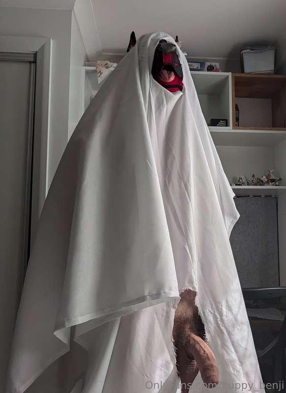 Happy Halloweenie hehe