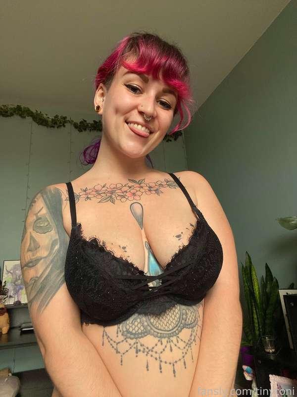 tinytoni image #1