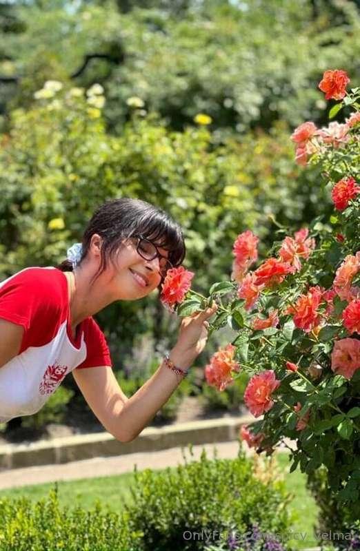 wake up and smell the roses!
