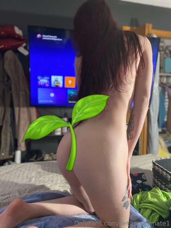 petiteplaymate1 image #0