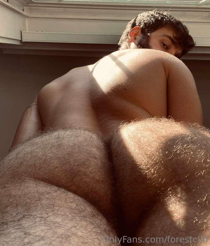 Some very fuzzy cakes to start off your morning