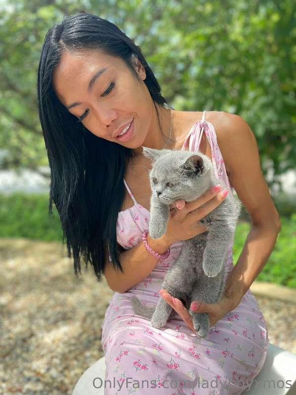 Which animals do you like the most?🐱💕 In fact, I'm madly in ..