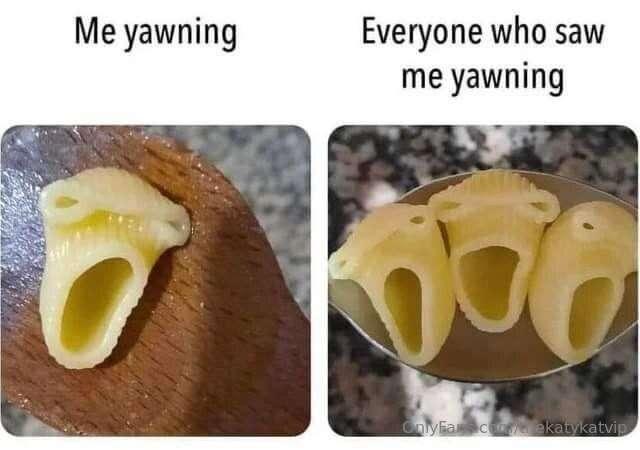 Meme of the Day!