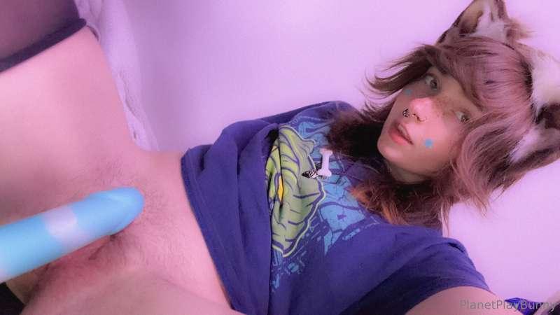 planetplaybunny image #2