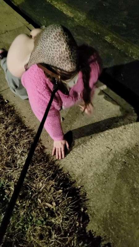 Leashed and wedgied