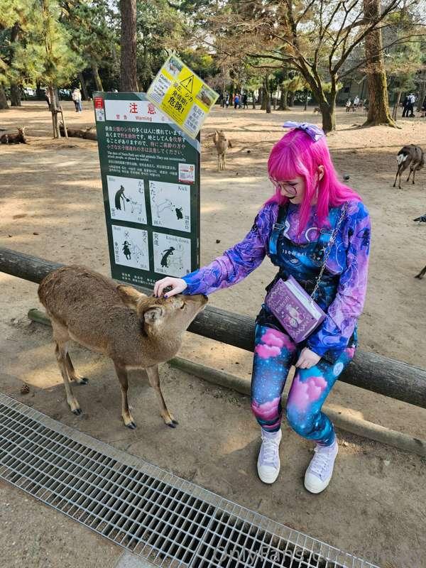 🔴 LIVE ON TWITCH 🔴

I'm currently at Nara Deer Park in Japan..