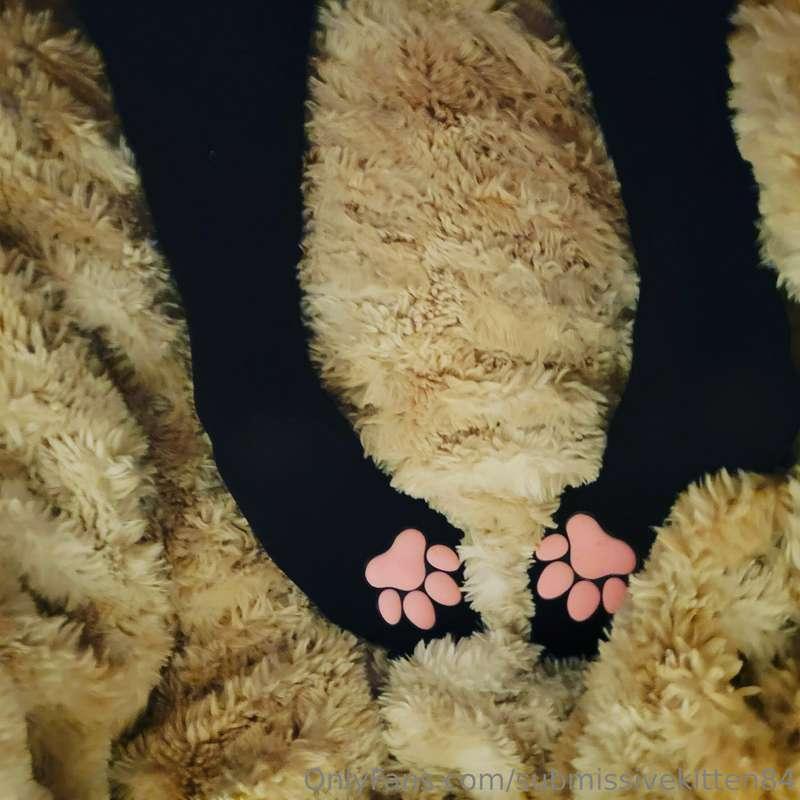 submissivekitten84 image #7