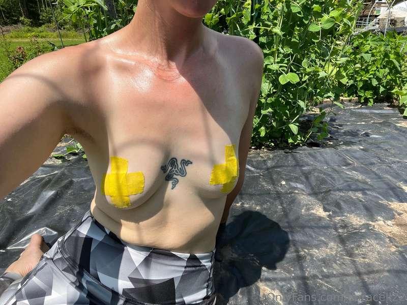 Just out here roasting in the garden.  If bugs weren’t a thi..