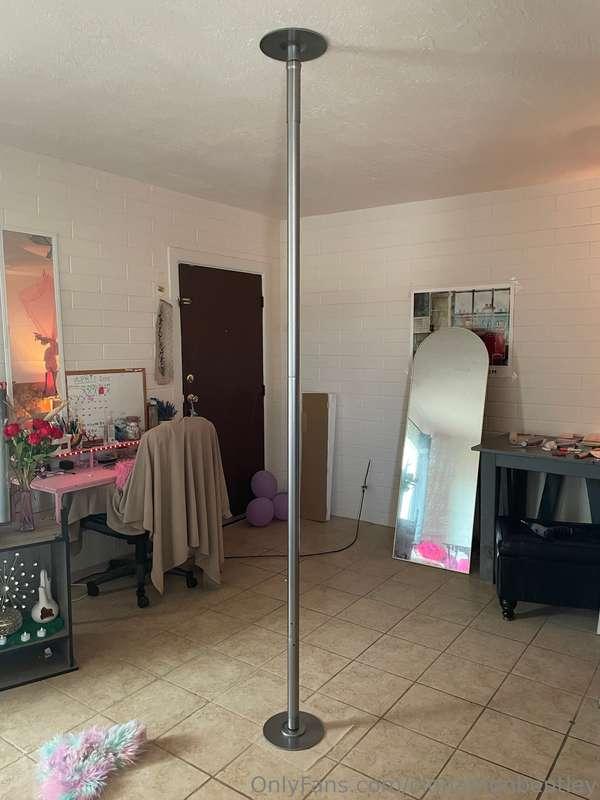Stripper pole is up!!