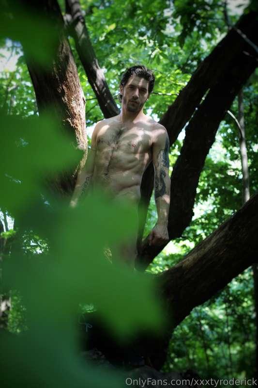 Deep in the forest