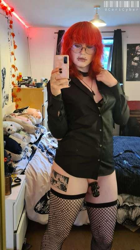 cericyber image #2