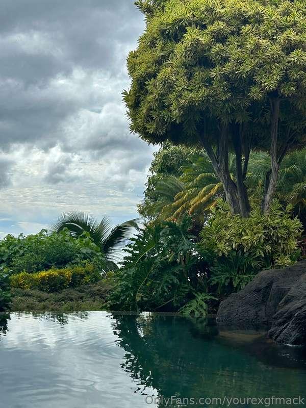 yourexgfmack image #0