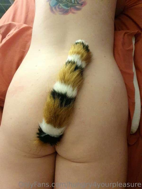 A few tail pictures. Just a shame the plug is so small i lov..