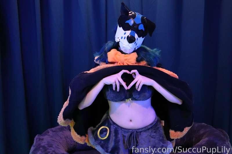succupuplily image #16