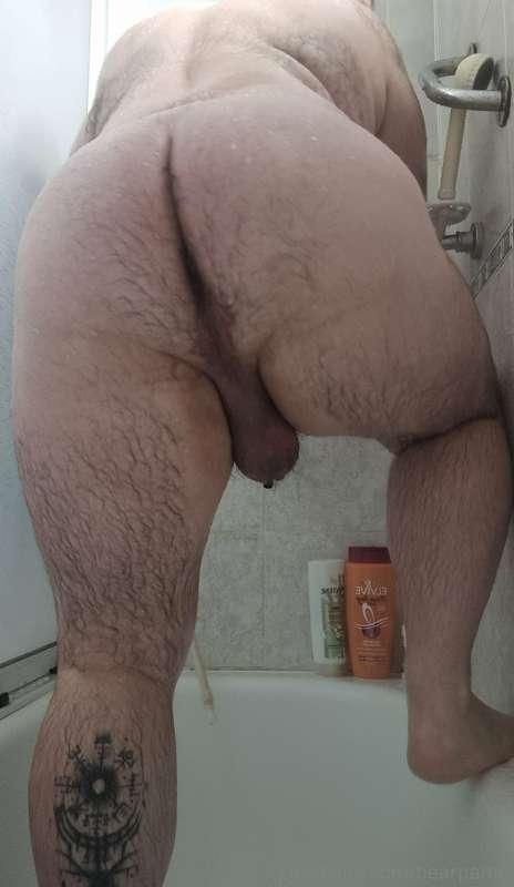 bearpamp image #0