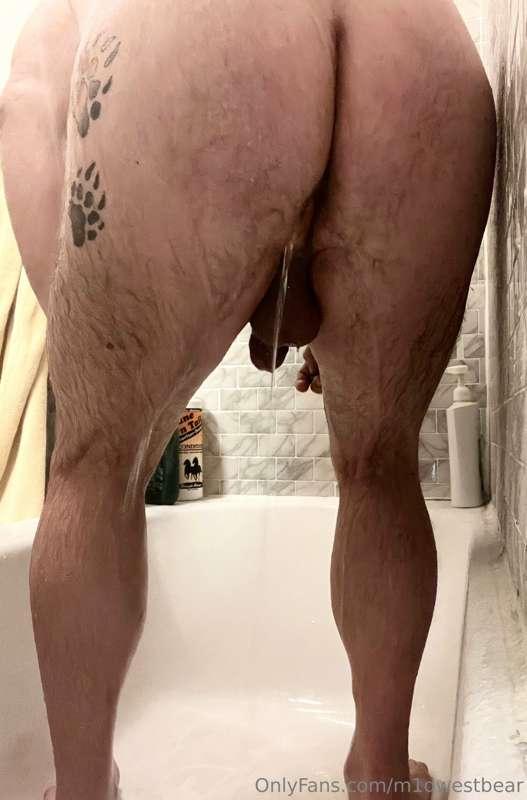 m1dwestbear image #4