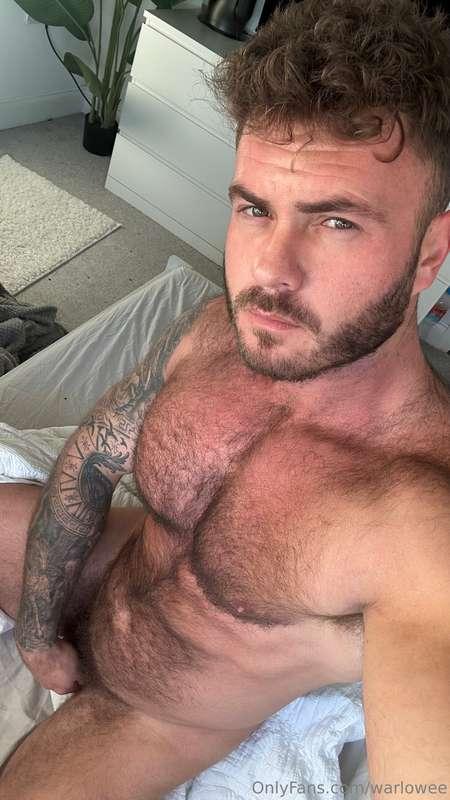 Your ALPHA male is here and you know that I don't wake up so..