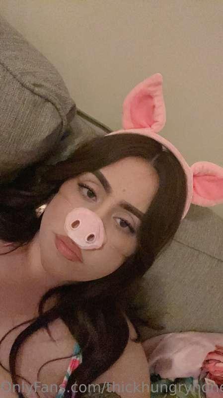 I’ve been pigging out on vacation 🐽

Look at my rolls and ce..