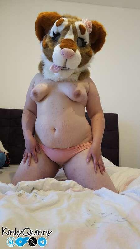 > COMPLETE BUNDLE AVAILABLE NOW! <  Featuring: - fursuit tig..