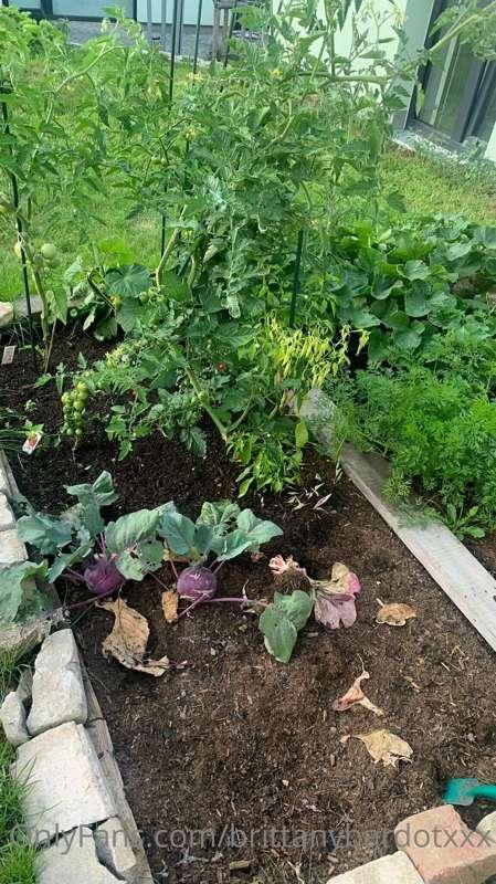 My veggies ❤️