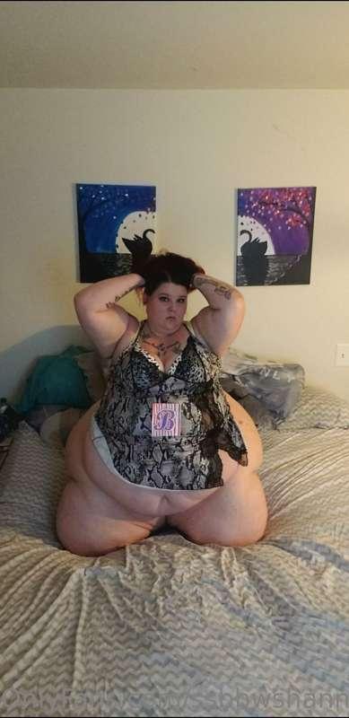 ssbbwshannonmarie image #0