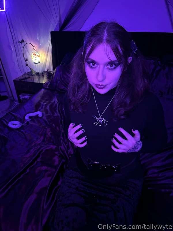 tallywyte image #8